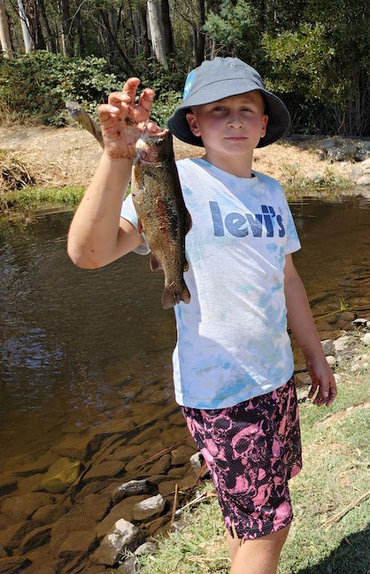 Trout fish